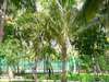 Holiday Island Resort 